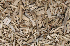 biomass boilers Foul End